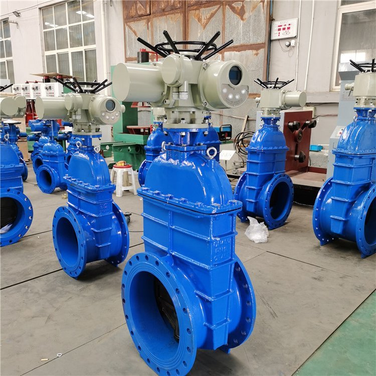 電動閘閥Z941h -64 DN500（石化行業(yè)、煉油廠、化工廠）
